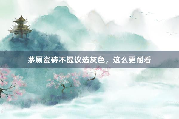 茅厕瓷砖不提议选灰色，这么更耐看
