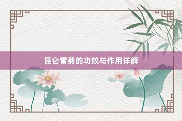 昆仑雪菊的功效与作用详解