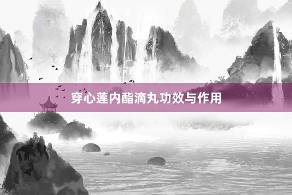 穿心莲内酯滴丸功效与作用